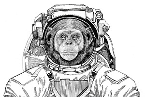 Chimpanzee Monkey Wearing Space Suit Wild Animal Astronaut Spaceman Galaxy Exploration Hand Drawn Illustration For T-shirt