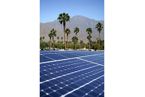 Solar panels and palm trees in, a Nature Photo by Lermont51