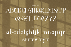 Renaisans Sans Modern Serif