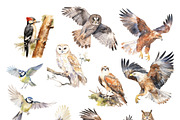 Woodland Bundle, an Animal Illustration by TheCuteShop (Thumbnail 9 of 12)