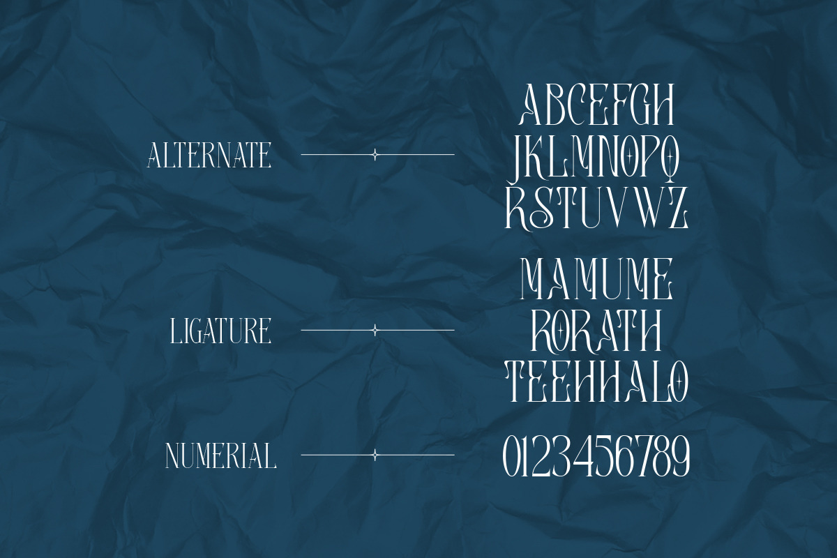 Aerial | Multipurpose serif, a Serif Font by ClevUs (Photo 11 of 12)
