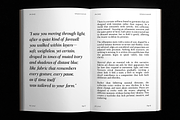 Arviel – Bold Editorial Serif Family, a Serif Font by roomspace creative lab (Thumbnail 6 of 13)
