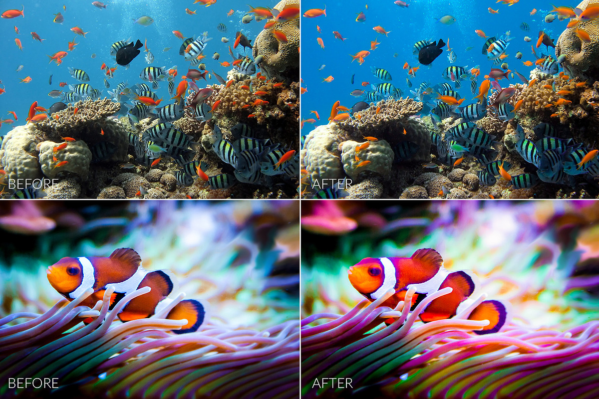 Barrier Reef Lr Presets, an Action Add-On by PandoraDreams (Photo 7 of 7)