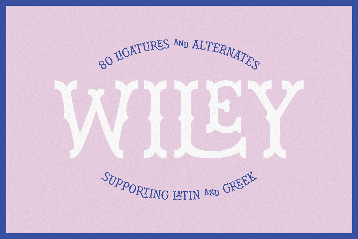 Wiley Decorative Latin & Greek Font, a Slab Serif Font by Molly Suber Thorpe (Photo 2 of 16)