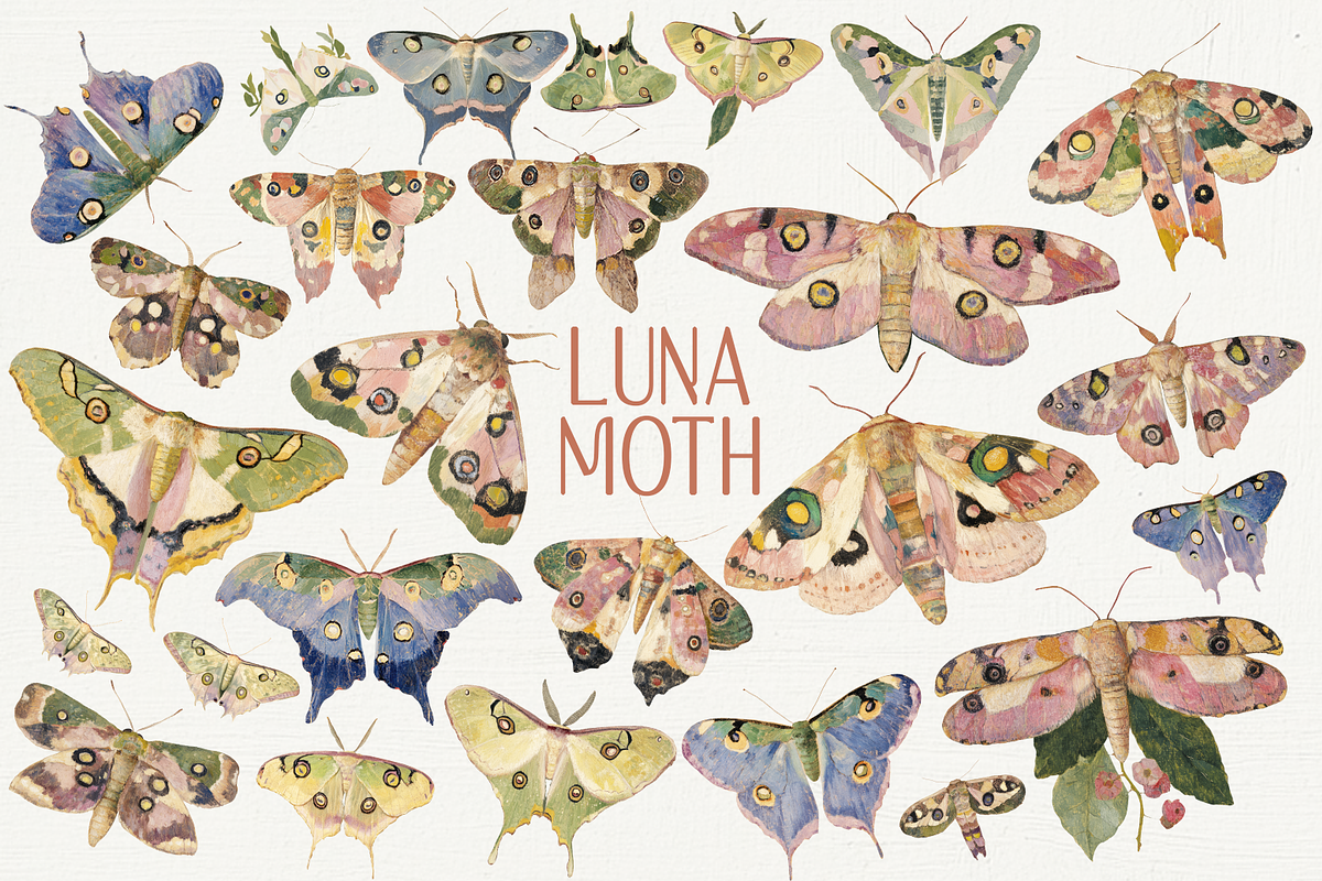 70 Watercolor Luna Moth Clipart, an Animal Illustration by Digital Museum (Photo 1 of 7)
