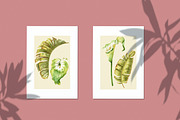 Watercolor Tropical Leaves & Flowers, an Illustration by babenkoirusa (Thumbnail 17 of 17)