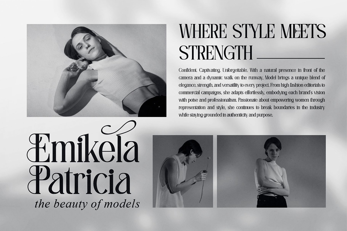 Amilado || Stylish Modern Serif Font, a Serif Font by Idea Studio (Photo 3 of 10)