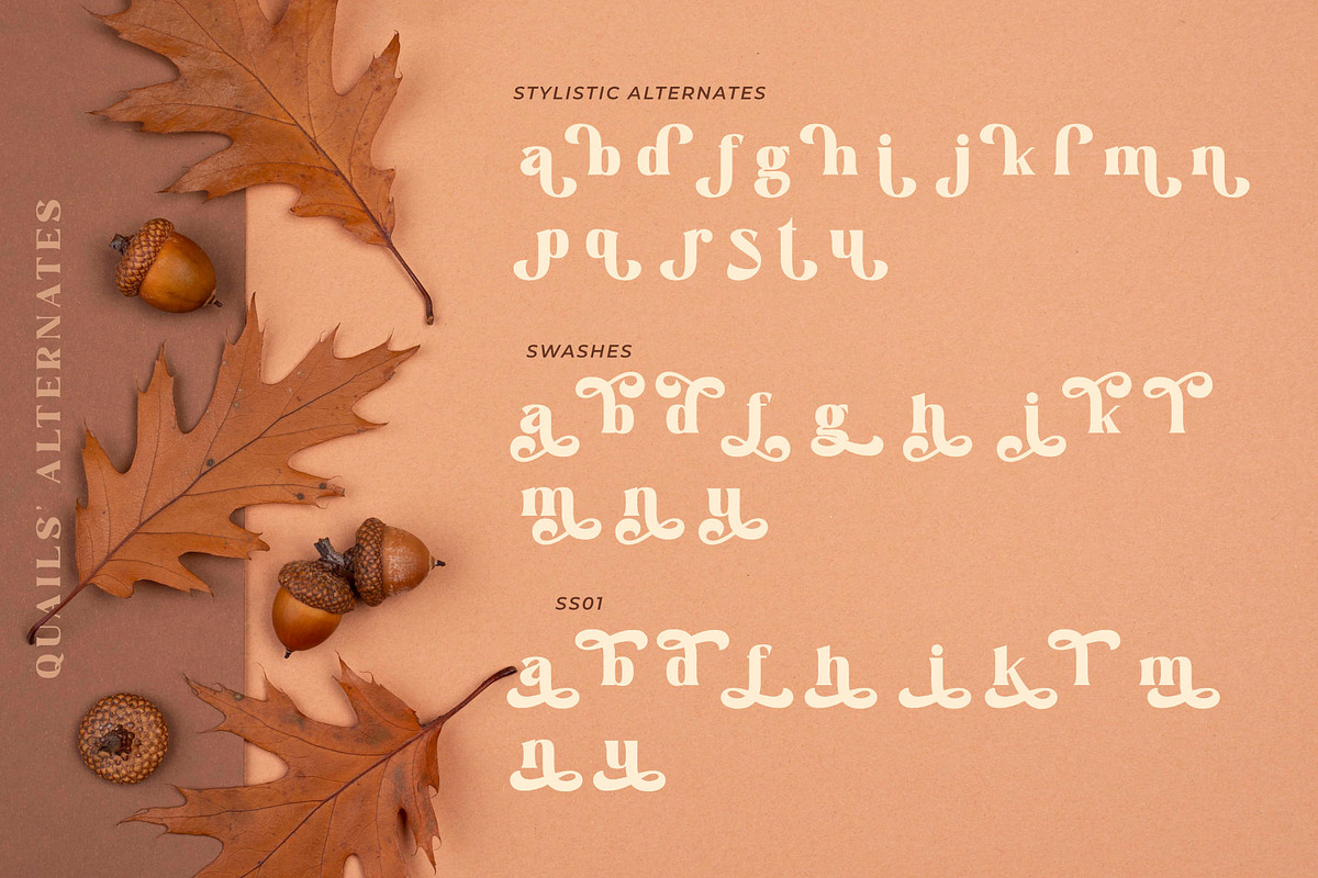 Quails | A Modern Display Serif, a Serif Font by Andrimada Creative (Photo 12 of 13)