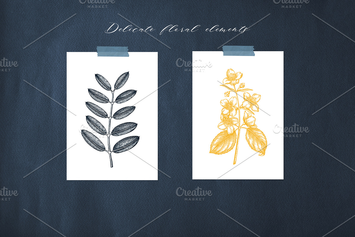 Spring Trees Vectors & Designs, a Seasonal Illustration by Yevheniia (Photo 9 of 13)