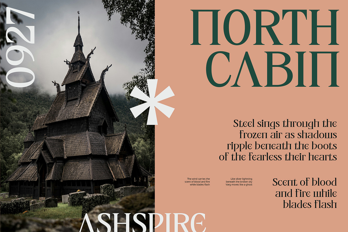 CS Alenka – Classic Font, a Serif Font by Craft Supply Co. (Photo 7 of 8)