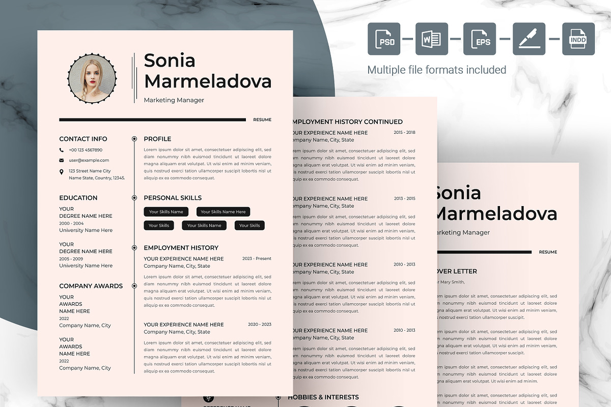 One-Page Resume for Professionals preview 3
