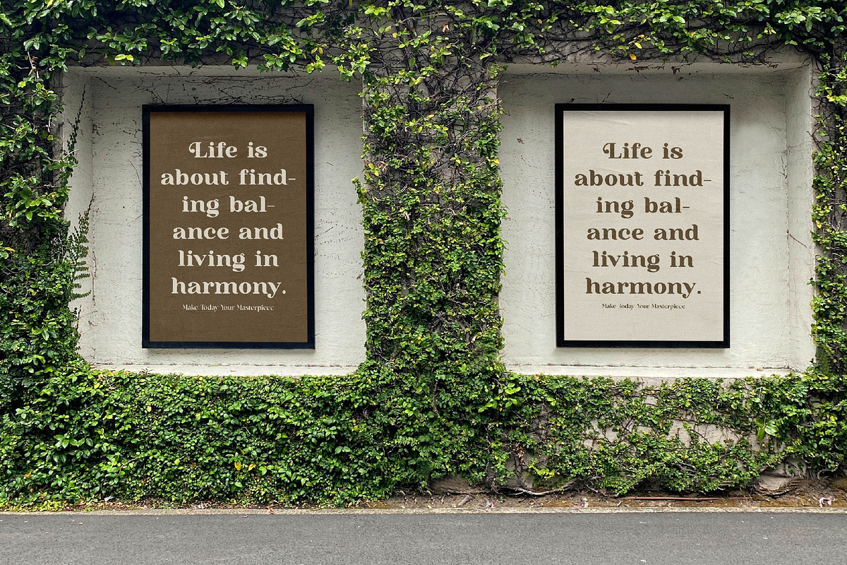 Madrid & Birch Modern Alternate, a Serif Font by timelesstype.co (Photo 8 of 20)
