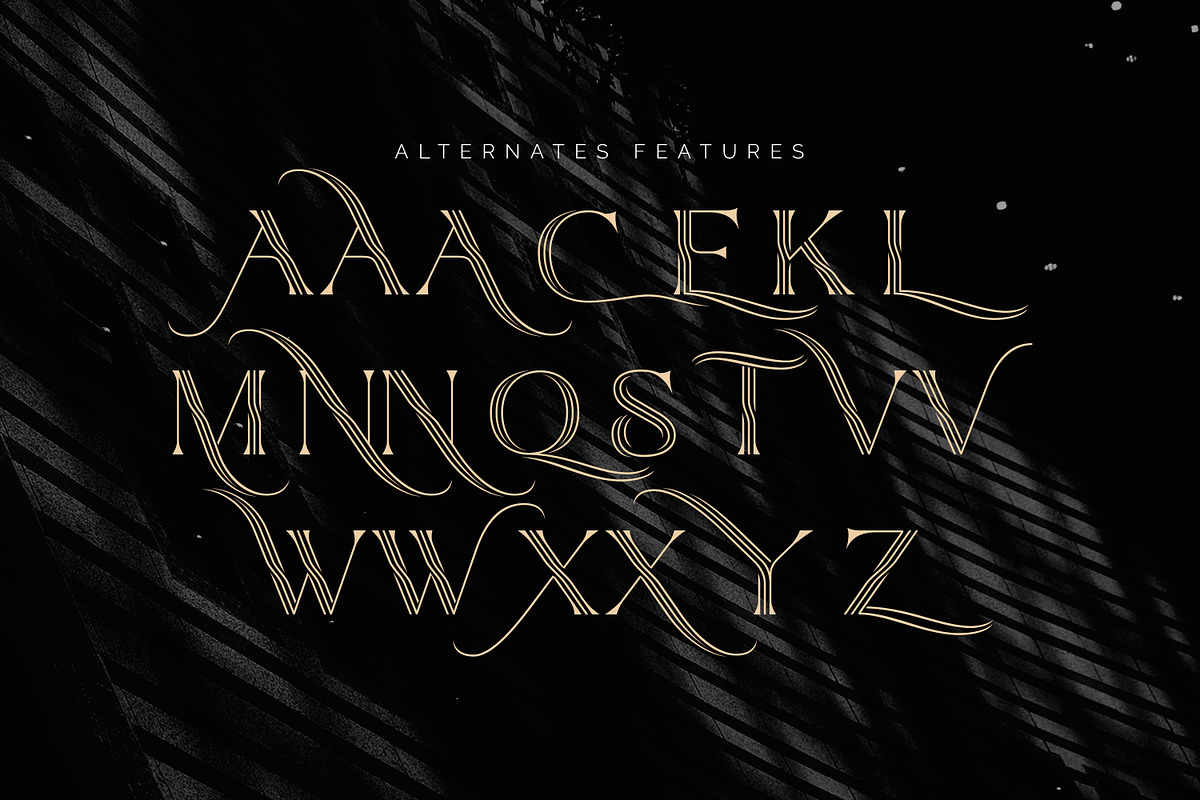 Qiunels - Elegant Luxury Serif, a Serif Font by Almarkhatype (Photo 9 of 10)