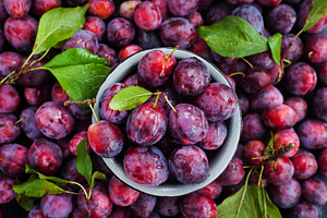 Fresh ripe autumn plums, a Food & Drink Photo by Kate S