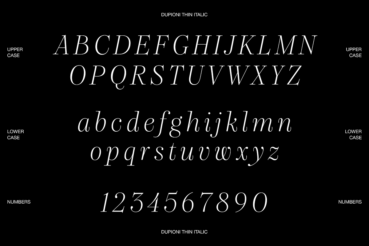 Dupioni Thin - Ligature Serif, a Serif Font by Silktype (Photo 19 of 20)