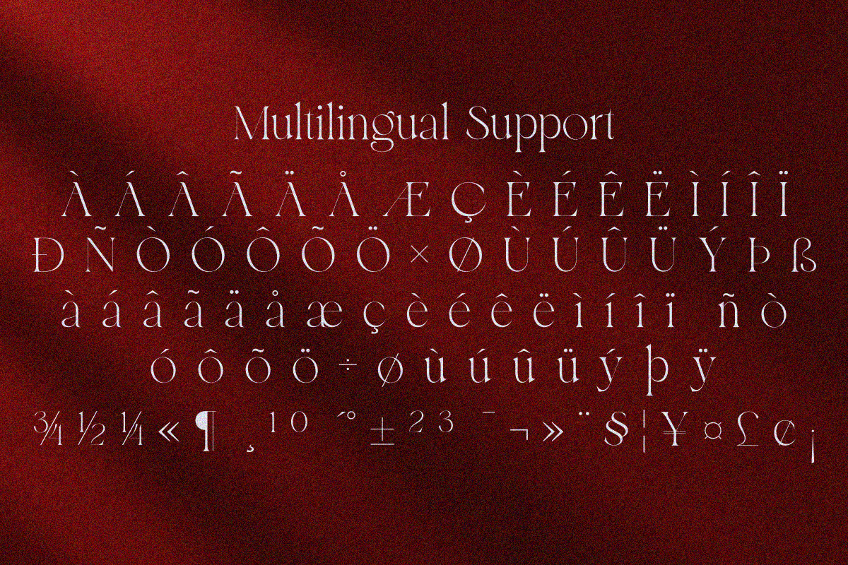 Roken, a Serif Font by zaaintype (Photo 10 of 10)