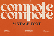 Compote, a Sans Serif Font by FactoryType (Thumbnail 1 of 10)