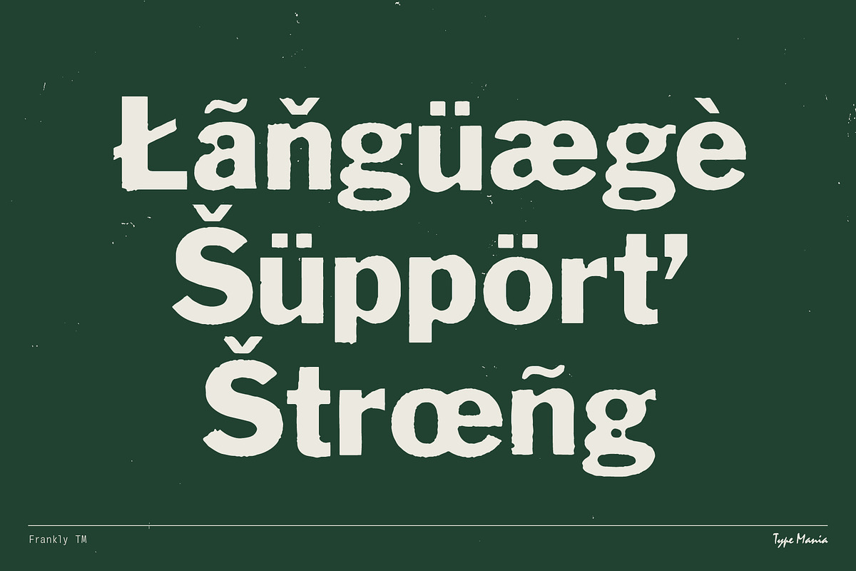 Frankly TM – Rugged Misprint Font, a Sans Serif Font by Type Mania (Photo 10 of 11)