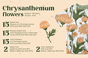 Flowers. Chrysanthemums, an Illustration by irina.vaneeva (Thumbnail 2 of 8)