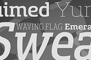 Sancoale Slab, a Slab Serif Font by insigne (Thumbnail 1 of 5)