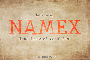 Namex, a Slab Serif Font by BaronWNM