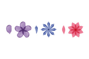 Watercolor flowers and leaves in, an Illustration by okskukuruza