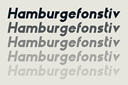 HAUS Sans Extra Bold, a Sans Serif Font by MARTINI Type Designer (Thumbnail 3 of 5)