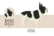Dog breeds French Bulldog, an Object Graphic by Nenilkime (Thumbnail 1 of 3)