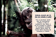 Sweet Zine Handwritten Font, a Sans Serif Font by Ana's Fonts (Thumbnail 7 of 7)