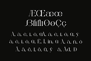 Bonuko - Modern Ligature Serif Font, a Serif Font by Iqsiart Studio (Thumbnail 8 of 16)