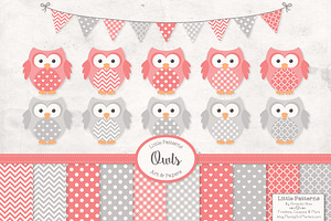 Coral & Grey Owl Vectors & Papers, an Animal Illustration by Amanda Ilkov