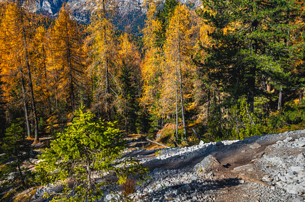 Half Dome - Yosemite preview 2
