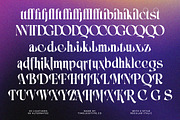 Bidqse Modern Display Serif, a Serif Font by timelesstype.co (Thumbnail 19 of 20)