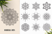 530 Vector Mandala Ornaments, an Animal Illustration by pixaroma (Thumbnail 43 of 55)