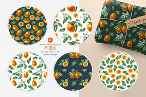 Fresh Citrus Watercolor Clipart.