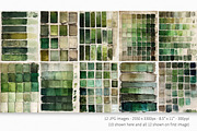 Forest Swatches, a Decorative Illustration by rileyBgraphics (Thumbnail 2 of 6)
