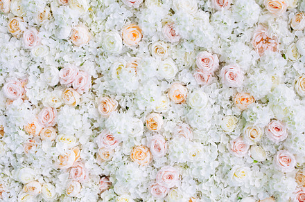 Flowers wall background white roses featuring abstract, art, and background