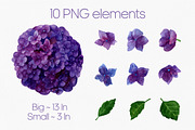 Hydrangea watercolor clipart PNG, an Illustration by Anntre (Thumbnail 2 of 3)