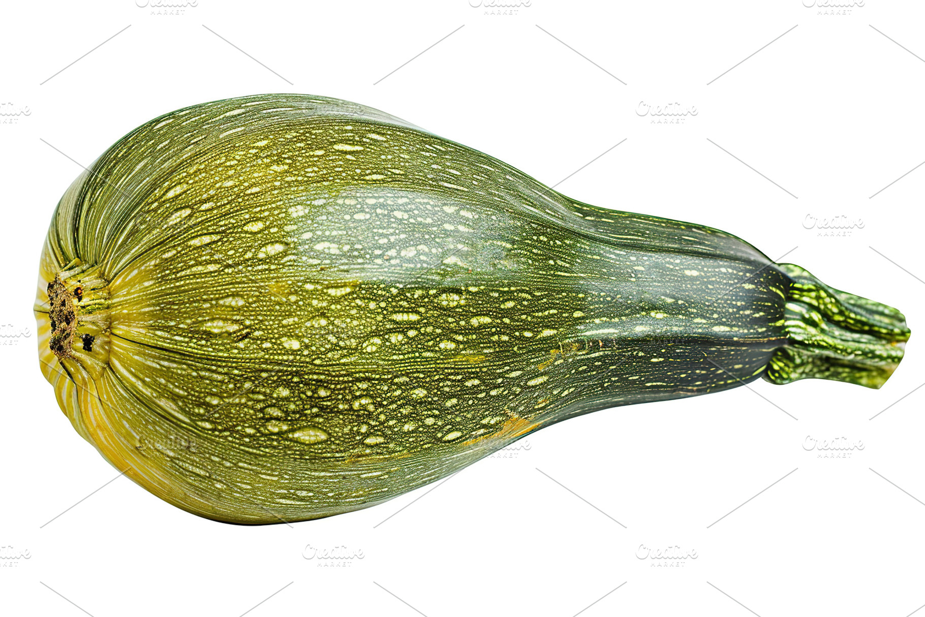 Green zucchini isolated on white background, a Food & Drink Photo by AlyaAnd