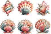 Watercolor Summer Seashell Clipart, an Illustration by Designking (Thumbnail 5 of 5)