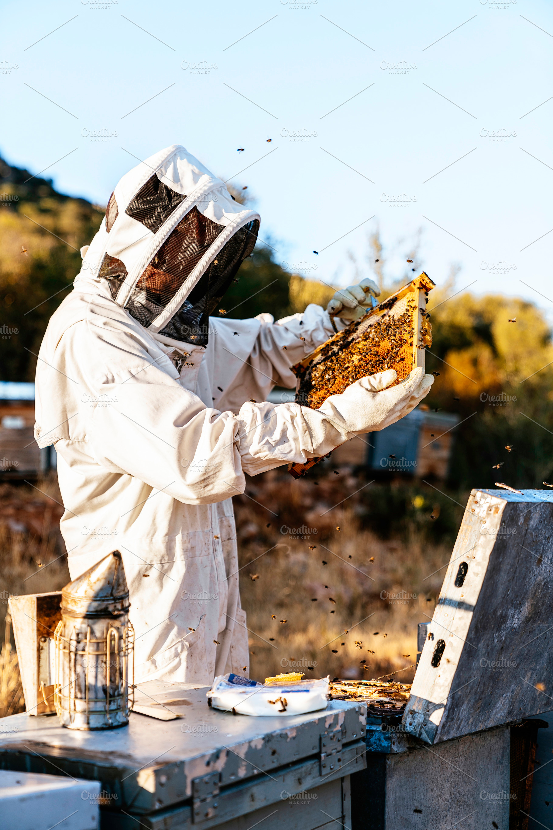 Beekeeper working collect honey containing beekeeper, bee, and honeycomb, an Industrial Photo by nunezimage