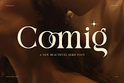Comig Elegant Serif Font, a Serif Font by Perfectype (Thumbnail 1 of 8)