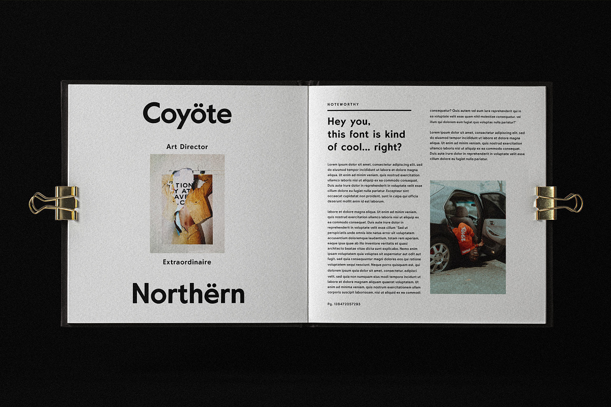 Rockhill Sans: A Diverse Sans Serif, a Sans Serif Font by Bnick (Photo 16 of 23)