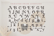 Voster Noise, a Serif Font by Propertype (Thumbnail 10 of 10)
