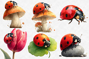 Watercolor Spring Ladybug Clipart, an Illustration by Designworld (Thumbnail 4 of 6)