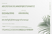 Leafy Plant Fun Typeface, a Sans Serif Font by Wandery Supply (Thumbnail 6 of 9)