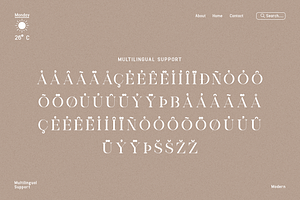 Lovely - Classy Serif Font