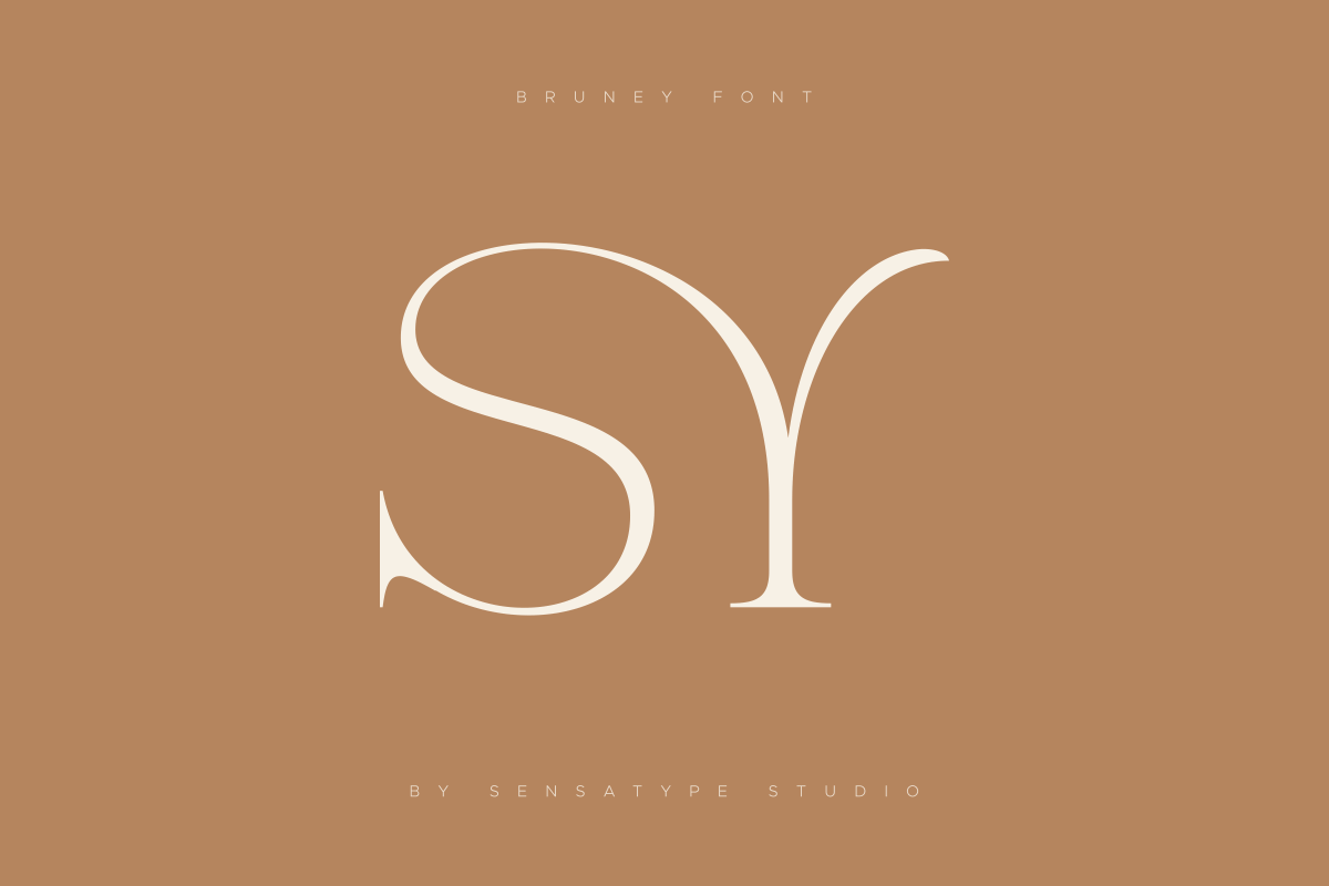 Bruney - Classy Ligature Font, a Serif Font by Sensatype (Photo 10 of 19)