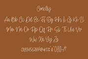 Conelly - Handwritten Font, a Script Font by Good Java Studio (Thumbnail 8 of 8)