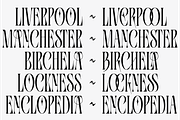 Alingkar, a Serif Font by Bagerich Type Foundry (Thumbnail 4 of 16)